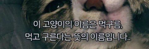 미식한고독가 banner