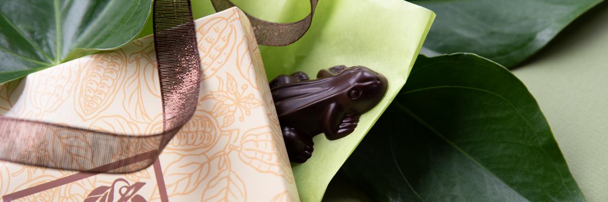croixchocolate's profile banner image