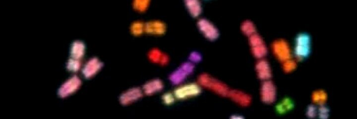 cgorman's profile banner image