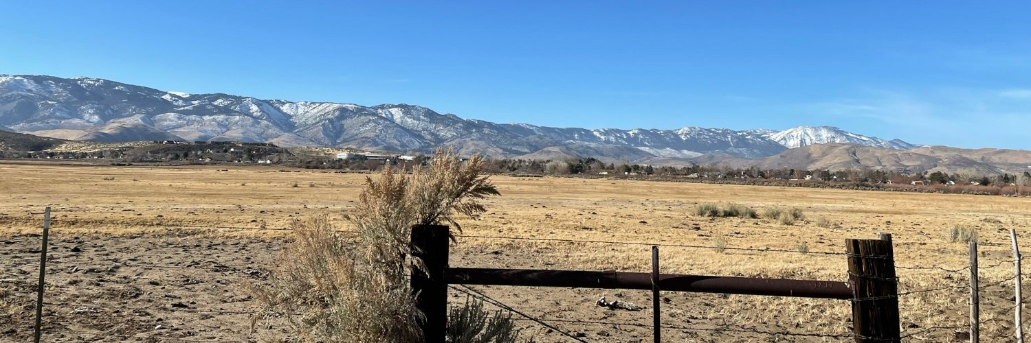 Cassidy Carson banner