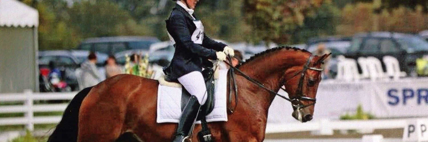 infoQdhorses's profile banner image