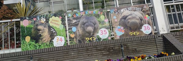 WOM_NuT Profile Banner