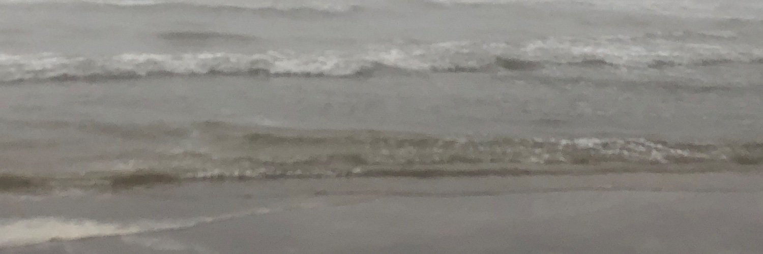 MomoftheSouth's profile banner image