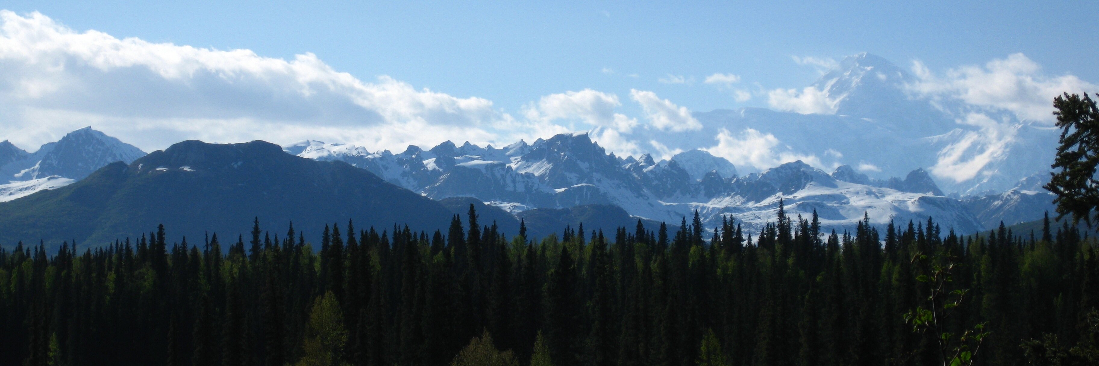 4restTrees's profile banner image