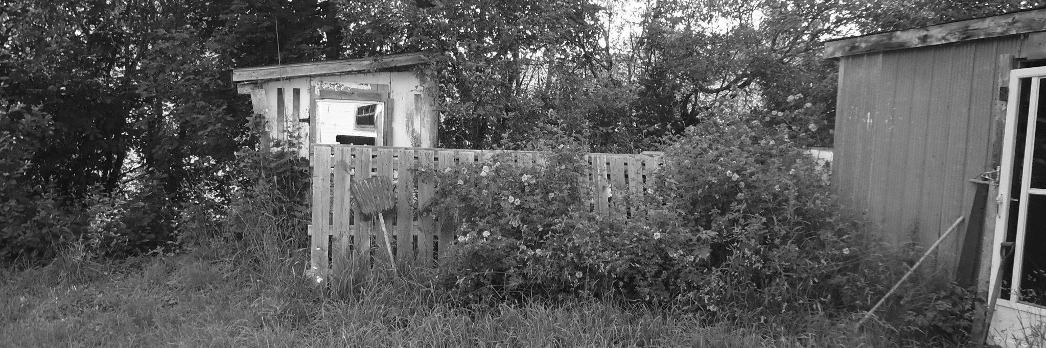 Ryan aka Lenneir banner