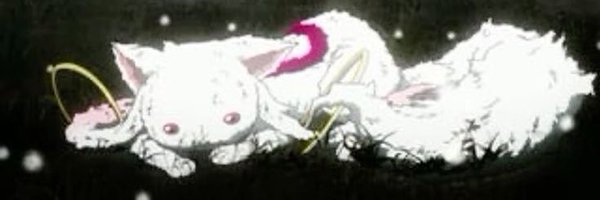 aowkfndkci Profile Banner