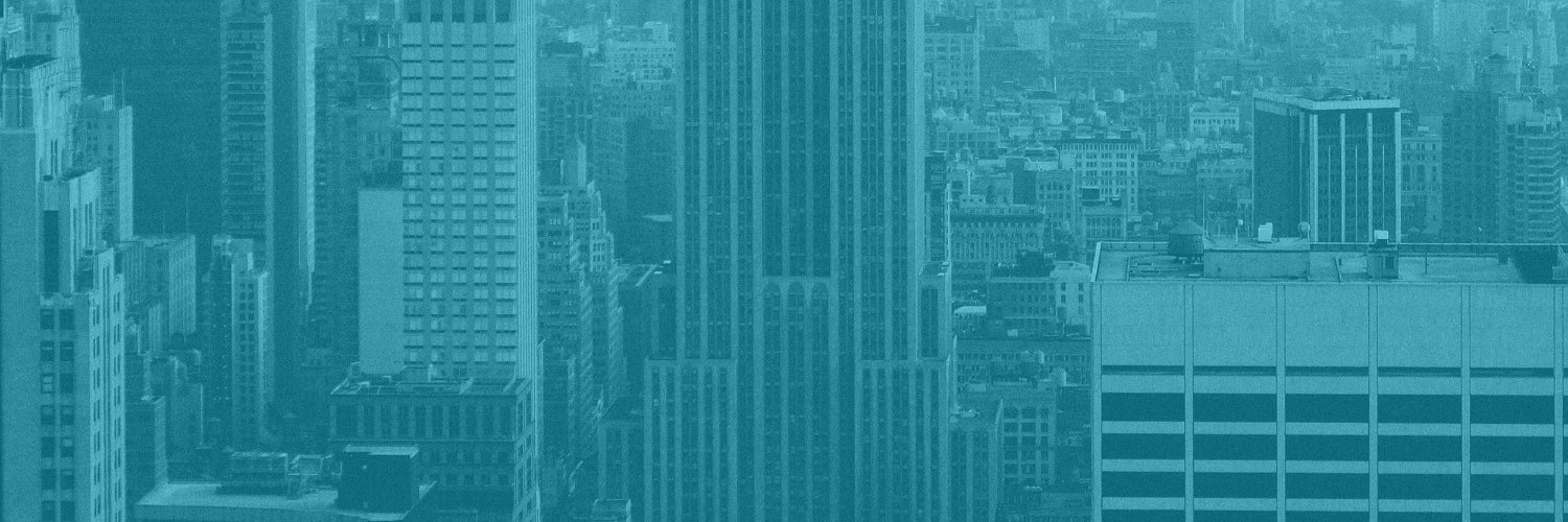 David Choi - Real Estate Investor banner