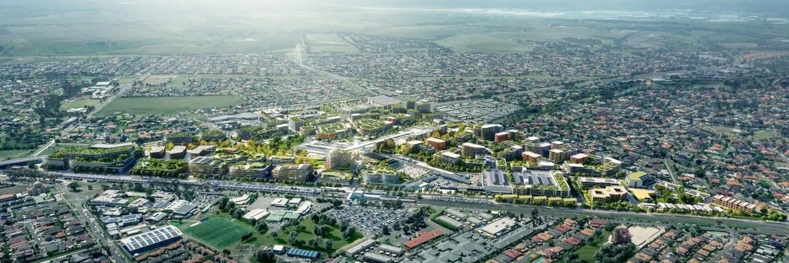 Eduardo Firstman banner