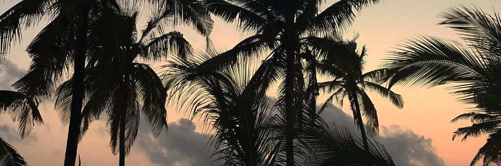 RubyCW__'s profile banner image