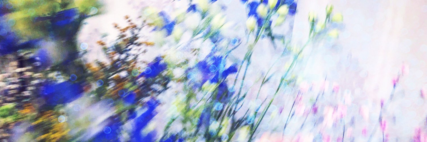 Haworthiagreen's profile banner image