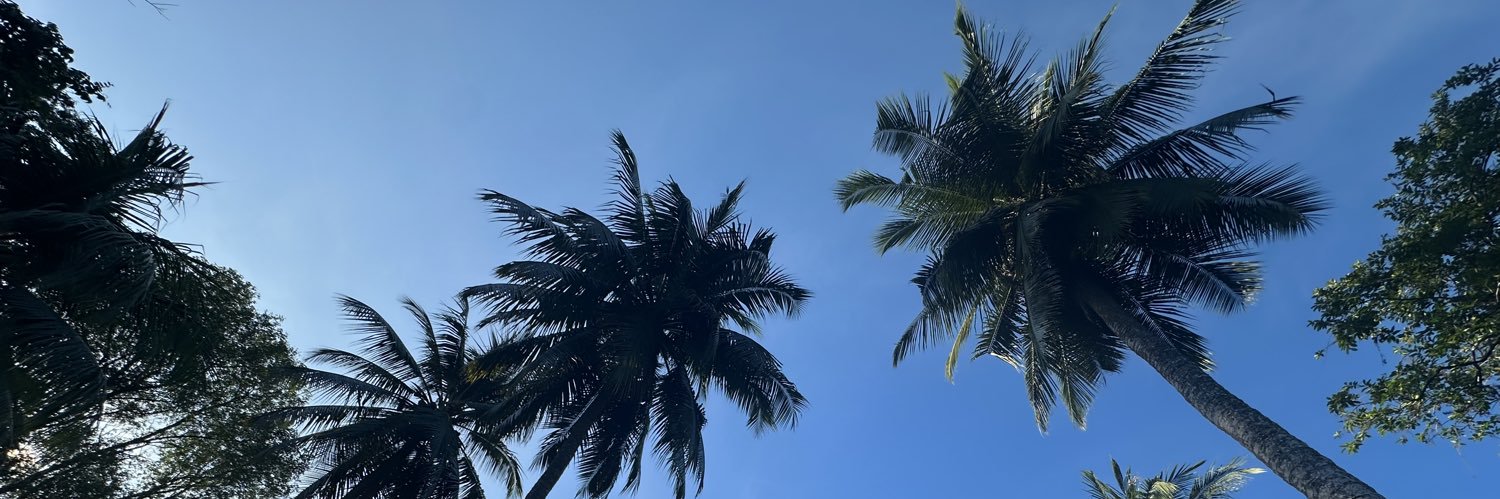 Brady2525_'s profile banner image