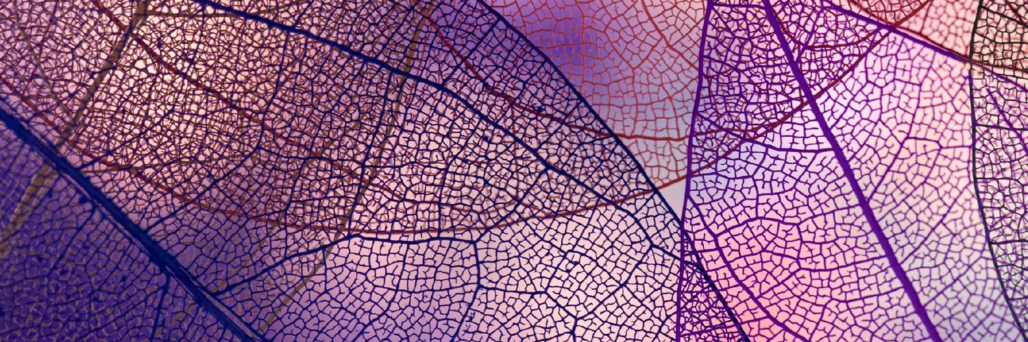 Nourished_Soul banner