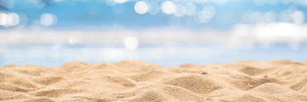 Pramodhegdes's profile banner image