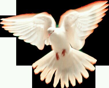 Ahmad1987H's profile banner image