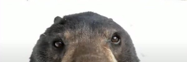 LL_dol_ Profile Banner