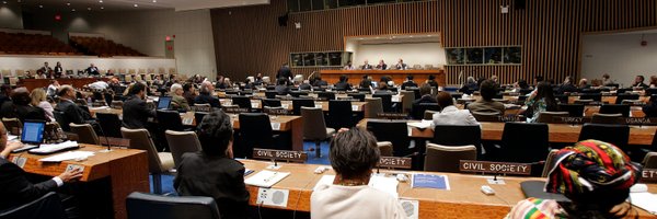 UN_NGO Profile Banner