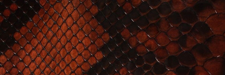 Ekere Baby🍂 banner