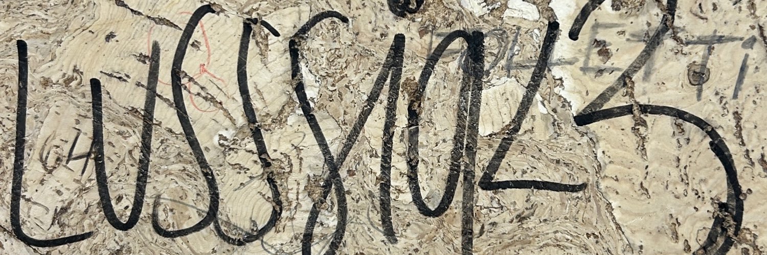 lucía banner