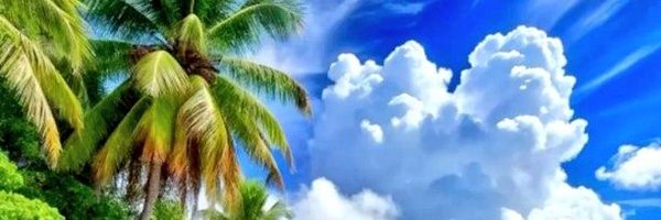 AYAD_ly2 Profile Banner