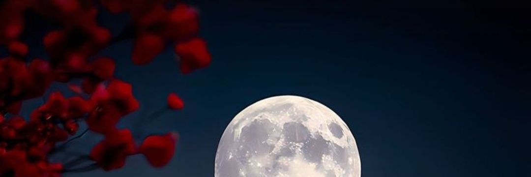 tingy003's profile banner image