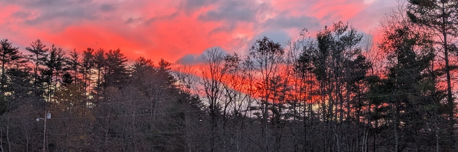 Bob Bobby bob banner