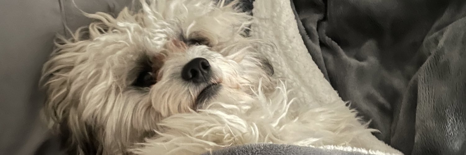 RenatoMarruffo's profile banner image