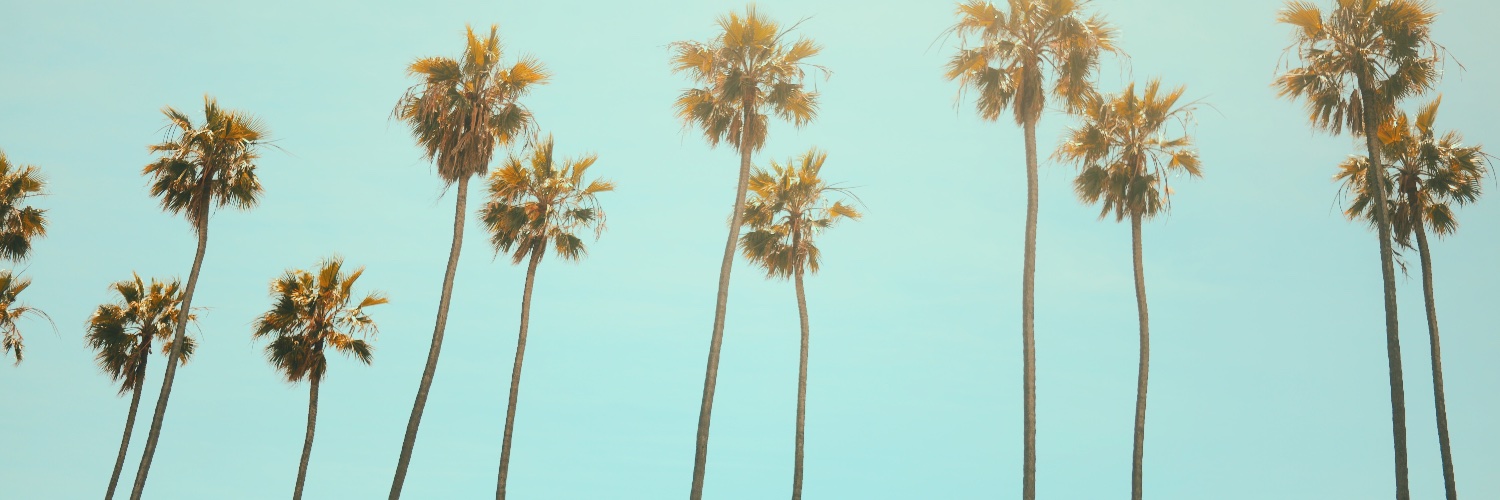 callcharlie's profile banner image