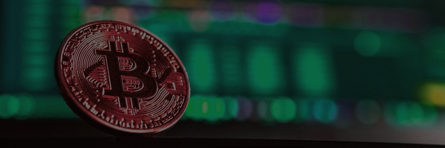 Adam Holzer banner