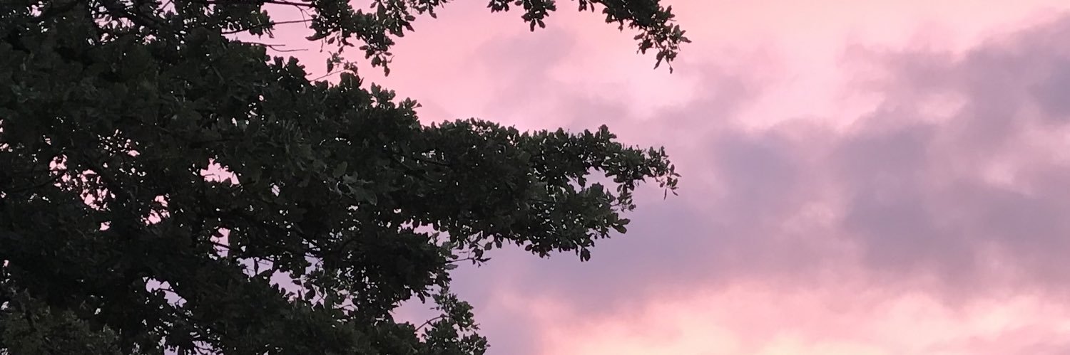 JMitchCanAustin's profile banner image