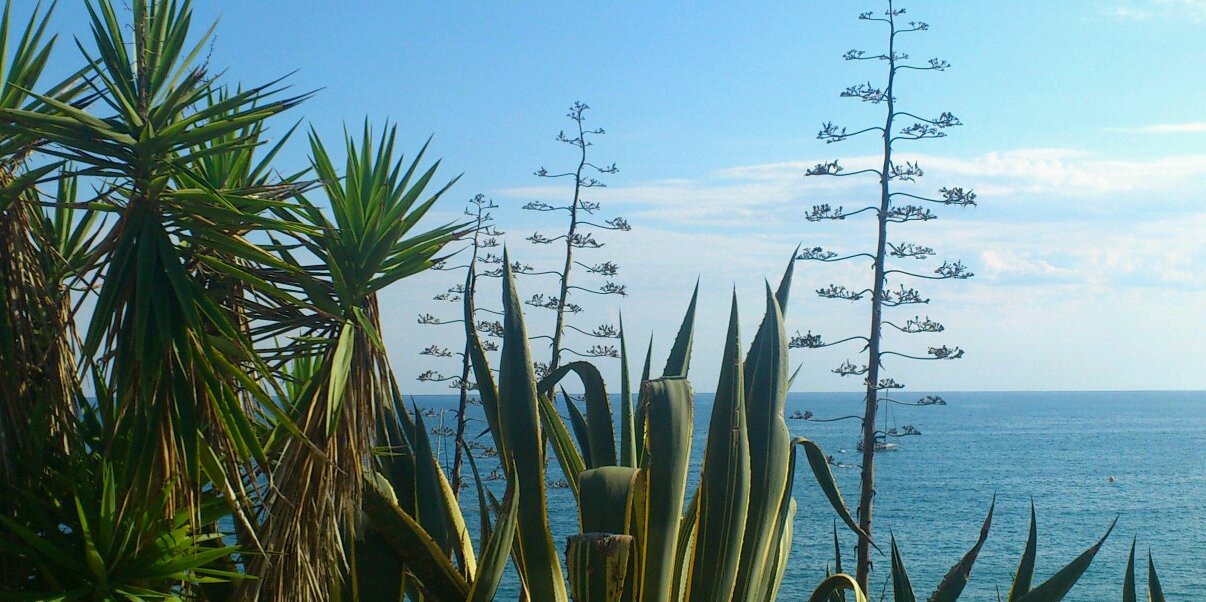 Benjamin Duez banner