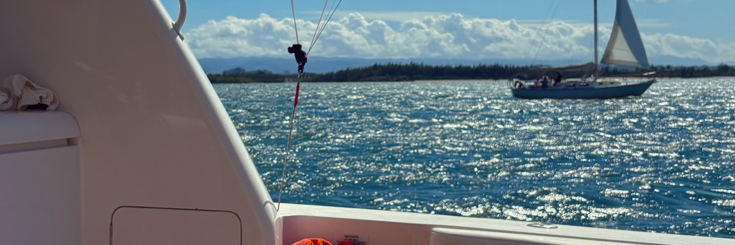 Sam Grisanzio banner