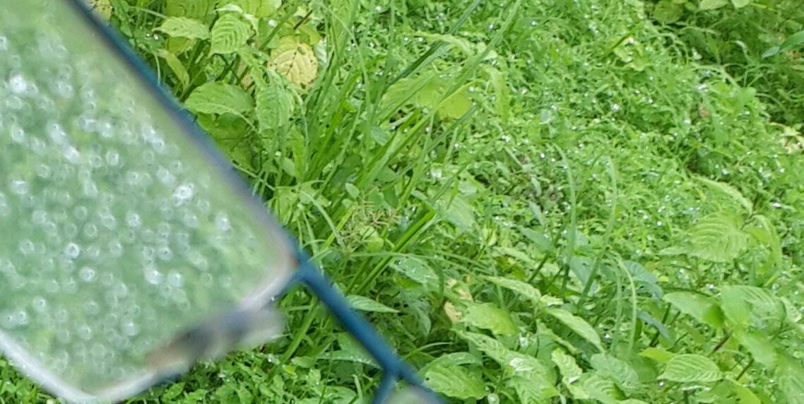 arhqsam's profile banner image