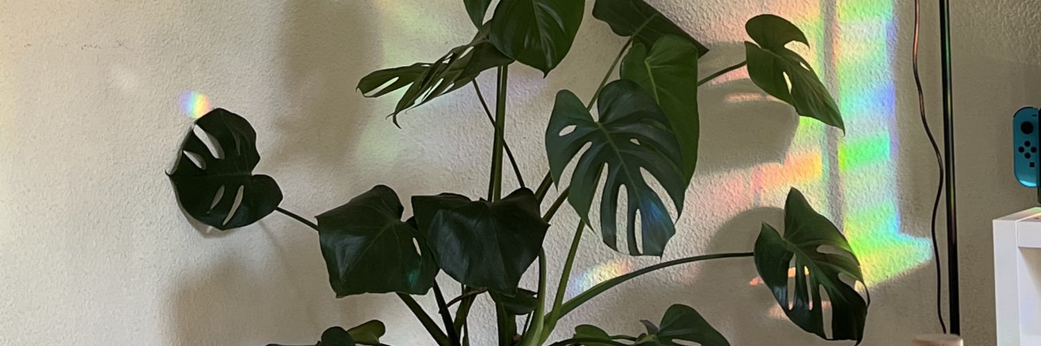 cebriria's profile banner image