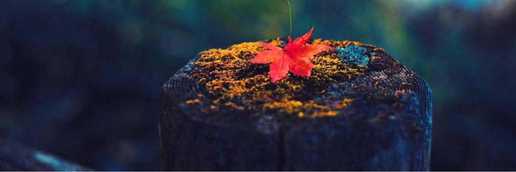 atheeb5's profile banner image