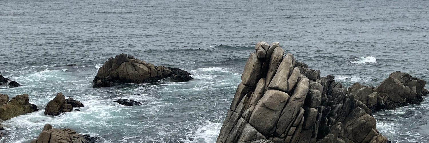 EBranton's profile banner image
