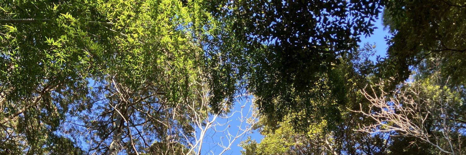 greenart58's profile banner image