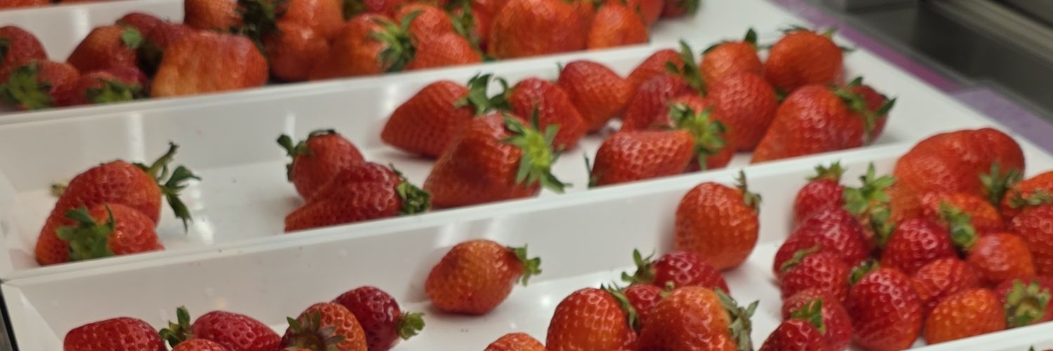 （ 𝕤𝕒𝕣𝕚 ） banner