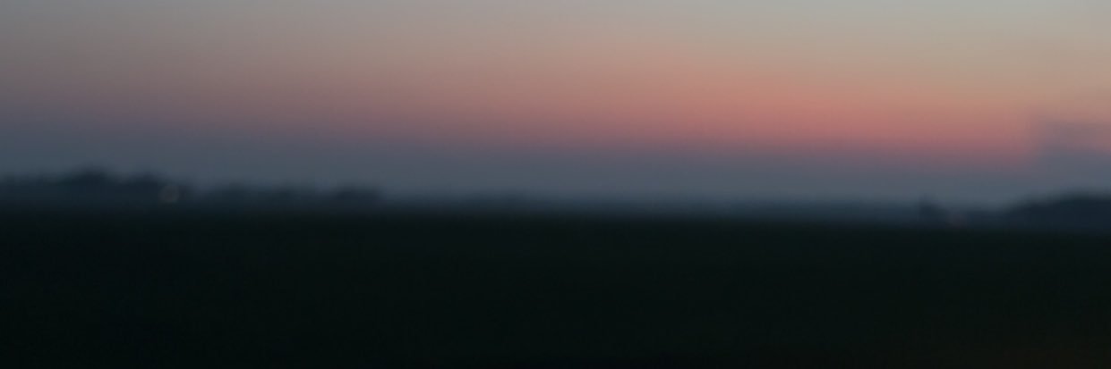 rowdy_trouble's profile banner image