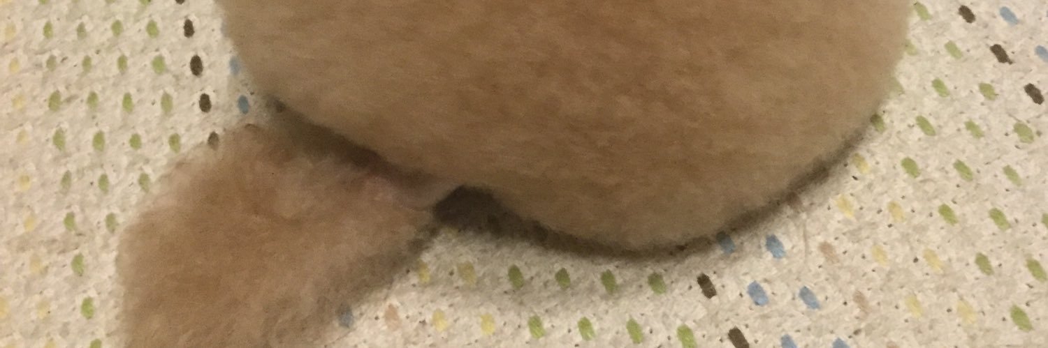 ohreey_k's profile banner image