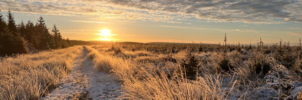 LapChallenge Profile Banner