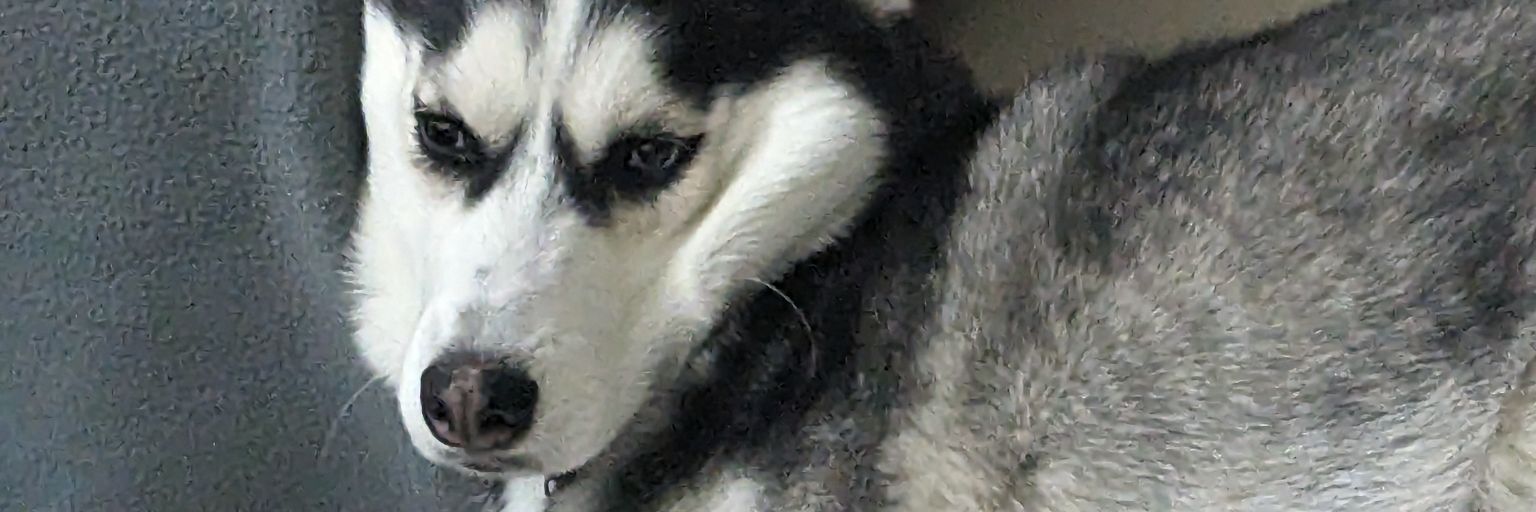 unoriginalMatt's profile banner image