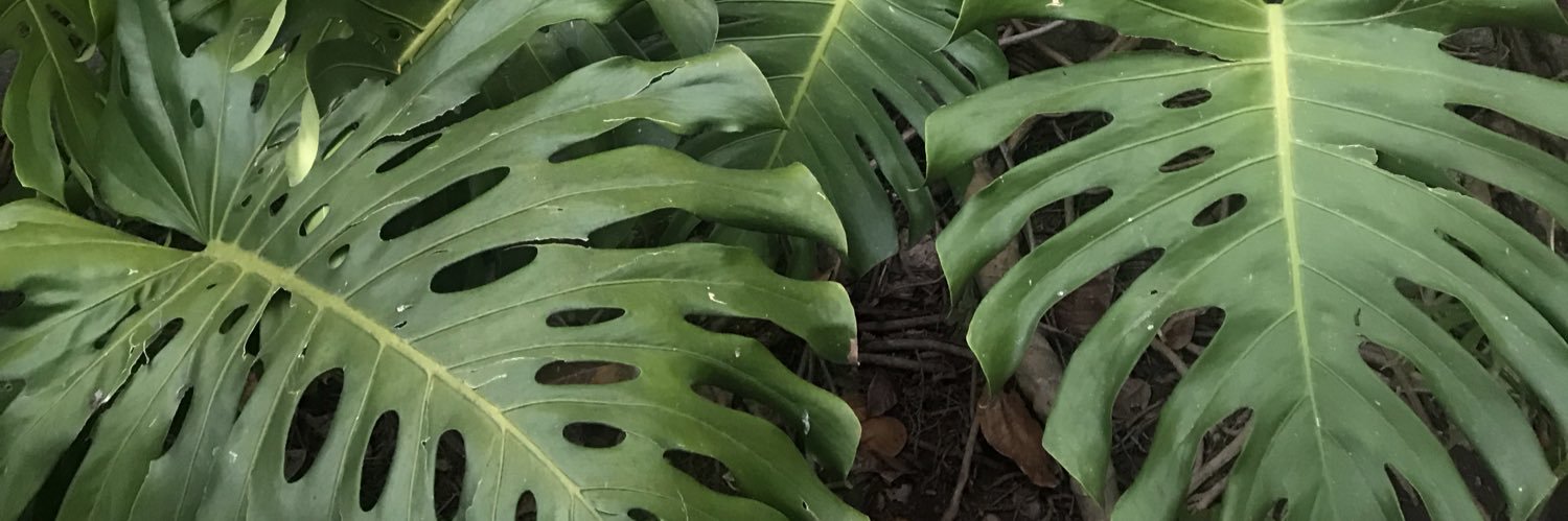 Mriblbt's profile banner image