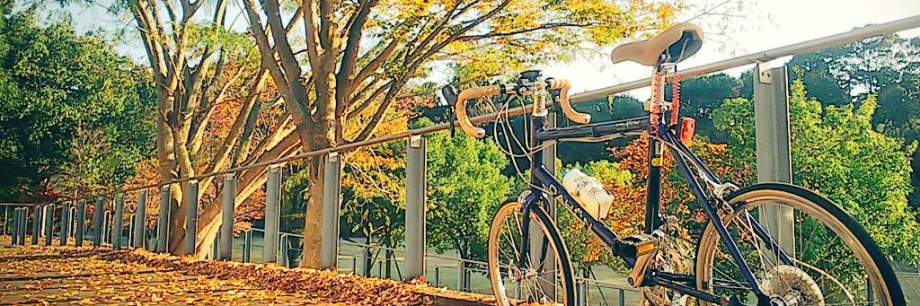 Susuppu's profile banner image