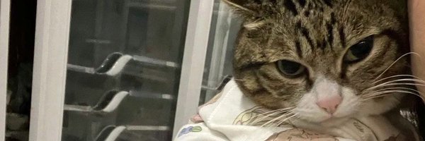hee3nu Profile Banner