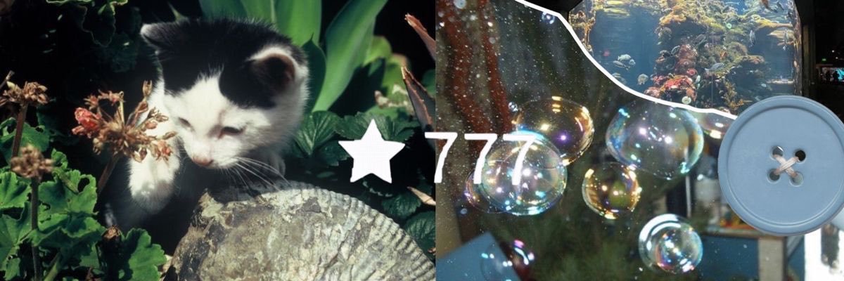 wendyn's profile banner image