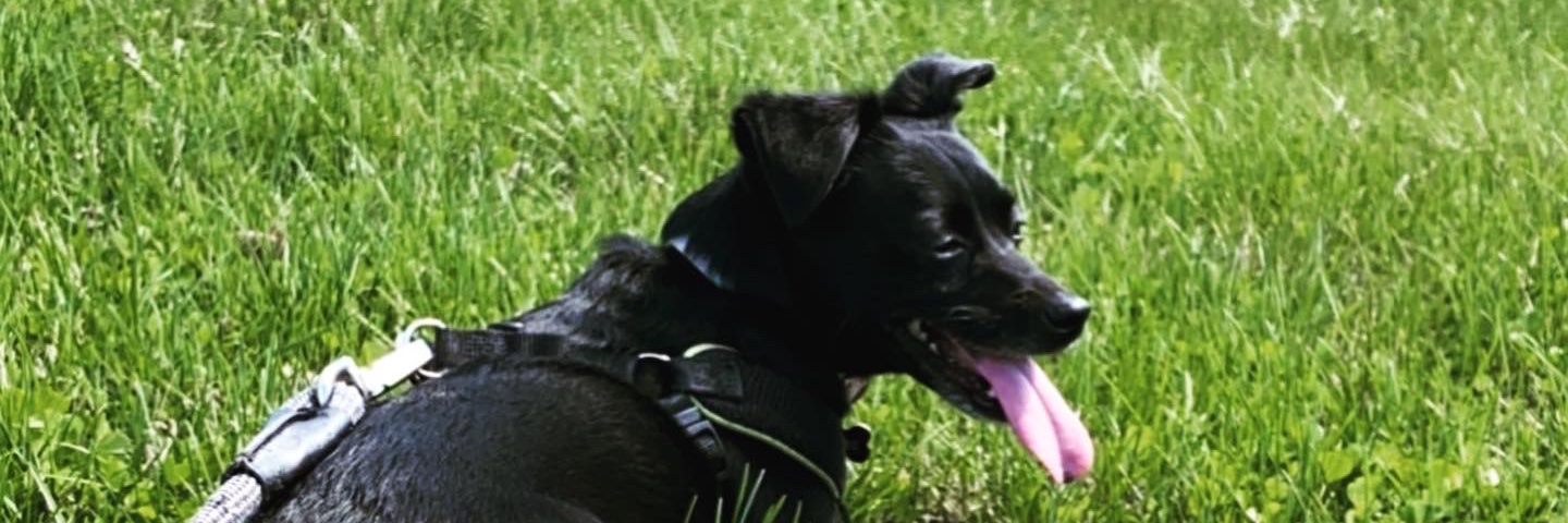 AudiLizz's profile banner image