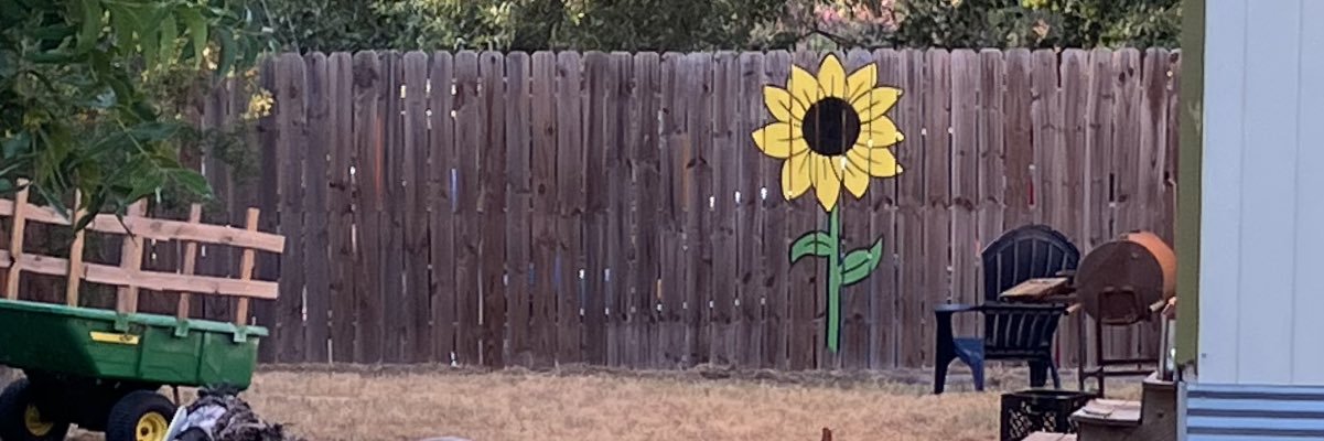 Estrella6_'s profile banner image