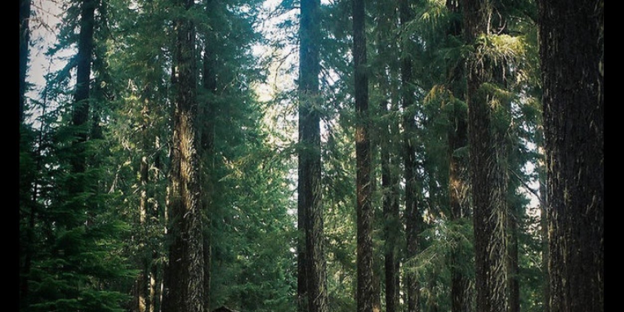 chrisappap's profile banner image