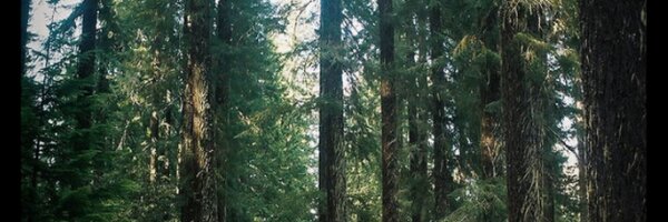 chrisappap Profile Banner