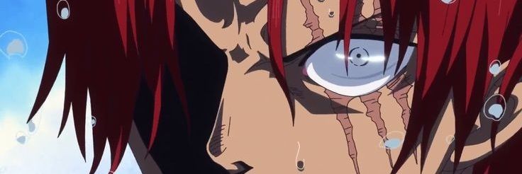 Shanks del Colo banner